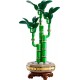 LEGO Botanical Collection 10344 - Dracena sandera