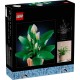 LEGO Botanical Collection 11504 - Skrzydłokwiat