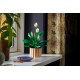 LEGO Botanical Collection 11504 - Skrzydłokwiat