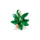 LEGO Botanical Collection 11504 - Skrzydłokwiat