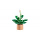 LEGO Botanical Collection 11504 - Skrzydłokwiat
