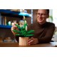 LEGO Botanical Collection 11504 - Skrzydłokwiat