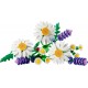 LEGO Botanicals 11508 - Stokrotki