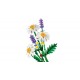 LEGO Botanicals 11508 - Stokrotki
