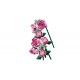 LEGO Botanical Collection 10374 - Bukiet różowych róż