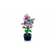 LEGO Botanical Collection 10372 - Hibiskus