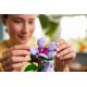 LEGO Botanical Collection 10372 - Hibiskus