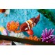 LEGO Icons 10366 - Tropikalne akwarium