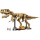 LEGO Jurrasic World 76968 - Szkielety dinozaurów, Tyranozaur