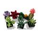LEGO Botanical Collection 10309 - Sukulenty