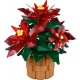 LEGO Botanical Collection 10370 - Gwiazda Betlejemska