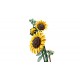 LEGO Botanical Collection 11502 - Bukiet słoneczników