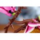 LEGO Botanicals 11510 - Gałązki magnolii