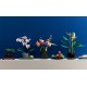 LEGO Icons 10311 - Orchidea