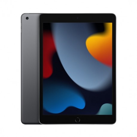 Tablet Apple iPad 10.2 9.Gen (2021) 256GB WiFi - Grey