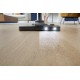Odkurzacz PHILIPS Performer LED XD 8152/12