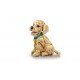 LEGO Icons 11384 - Szczeniak golden retriever