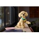 LEGO Icons 11384 - Szczeniak golden retriever