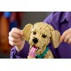 LEGO Icons 11384 - Szczeniak golden retriever