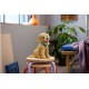 LEGO Icons 11384 - Szczeniak golden retriever