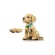 LEGO Icons 11384 - Szczeniak golden retriever