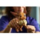 LEGO Pokemon 72151 - Eevee