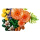 LEGO Botanical Collection 11505 - Grzyby leśne