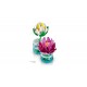 LEGO Botanicals 11511 - Lilie wodne