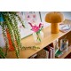 LEGO Botanicals 11514 - Kosmosy