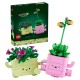 LEGO Botanical Collection 11506 - Bujające się roślinki
