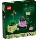 LEGO Botanical Collection 11506 - Bujające się roślinki