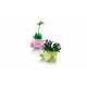 LEGO Botanical Collection 11506 - Bujające się roślinki