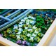 LEGO Art 31220 - Claude Monet: Most nad stawem z liliami wodnymi