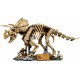 LEGO Jurassic World 77985 - Szkielety dinozaurów: Triceratops