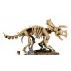 LEGO Jurassic World 77985 - Szkielety dinozaurów: Triceratops