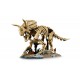 LEGO Jurassic World 77985 - Szkielety dinozaurów: Triceratops
