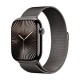 Watch Apple Watch Series 10 GPS + Cellular 46mm Slate Titanium Case with Milanese Loop M/L - Titanium