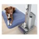 Odkurzacz pionowy Clean&Empty IW3612EUT SKARK