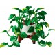 LEGO Botanical Collection 11512 - Wiszące epipremnum złociste