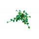 LEGO Botanical Collection 11512 - Wiszące epipremnum złociste