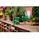 LEGO Botanical Collection 11512 - Wiszące epipremnum złociste